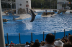 thumbs/seaworld 010.png